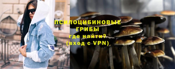 спайс Баксан