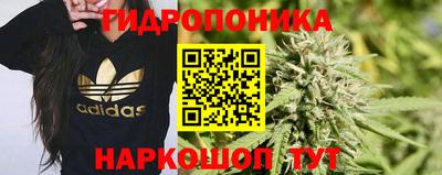 прущие крисы Балаково