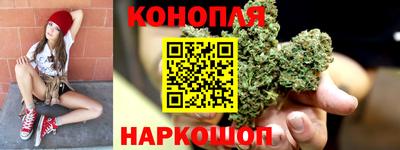 СК Бийск