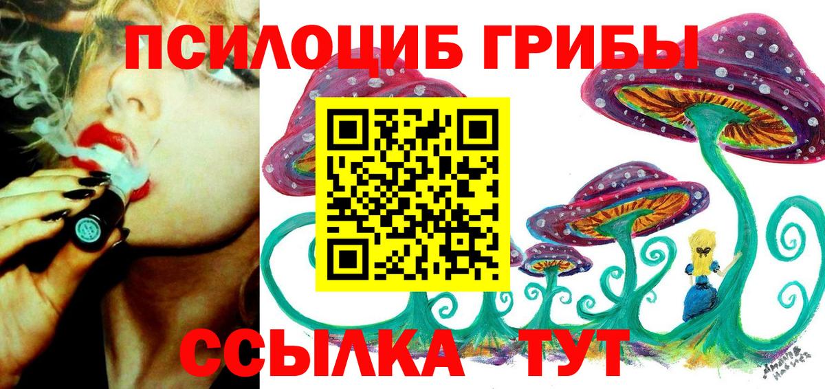 Балахна  продажа наркотиков  Вход с VPN  Галлюциногенные грибы GOLDEN TEACHER 