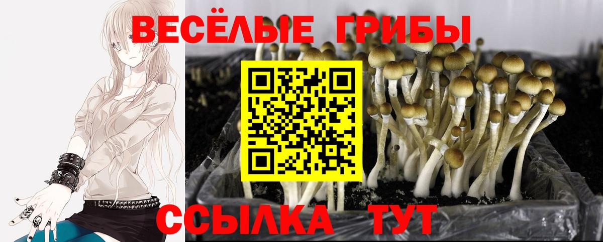 Галлюциногенные грибы GOLDEN TEACHER Балахна