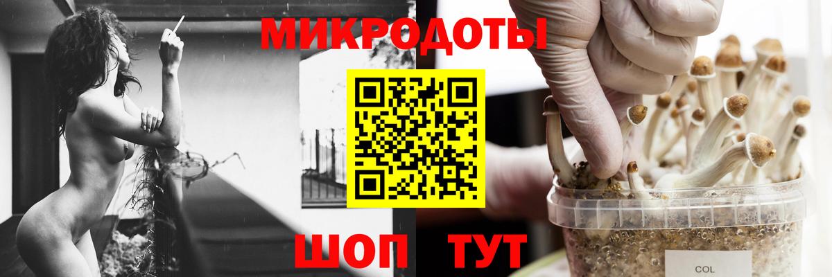 Галлюциногенные грибы мухоморы Балахна